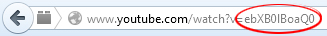 youtubeaddressbar.jpg