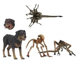 A3-Creature-Pack1590-300x200.jpg