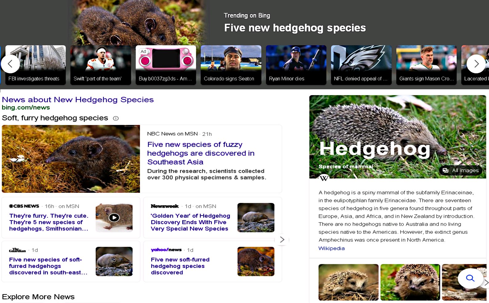 5 New Hedgehogs 1.jpg