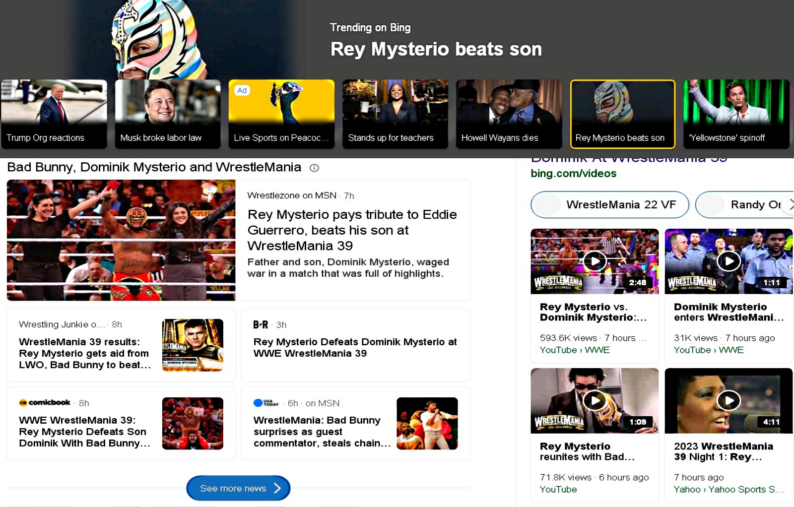 Rey Mysterio 3.jpg